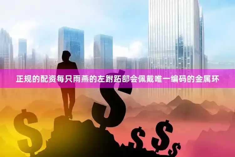 正规的配资每只雨燕的左跗跖部会佩戴唯一编码的金属环