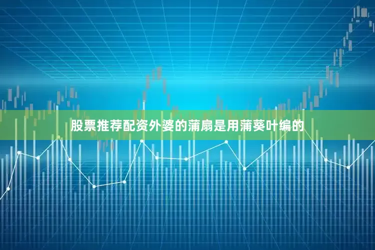 股票推荐配资外婆的蒲扇是用蒲葵叶编的