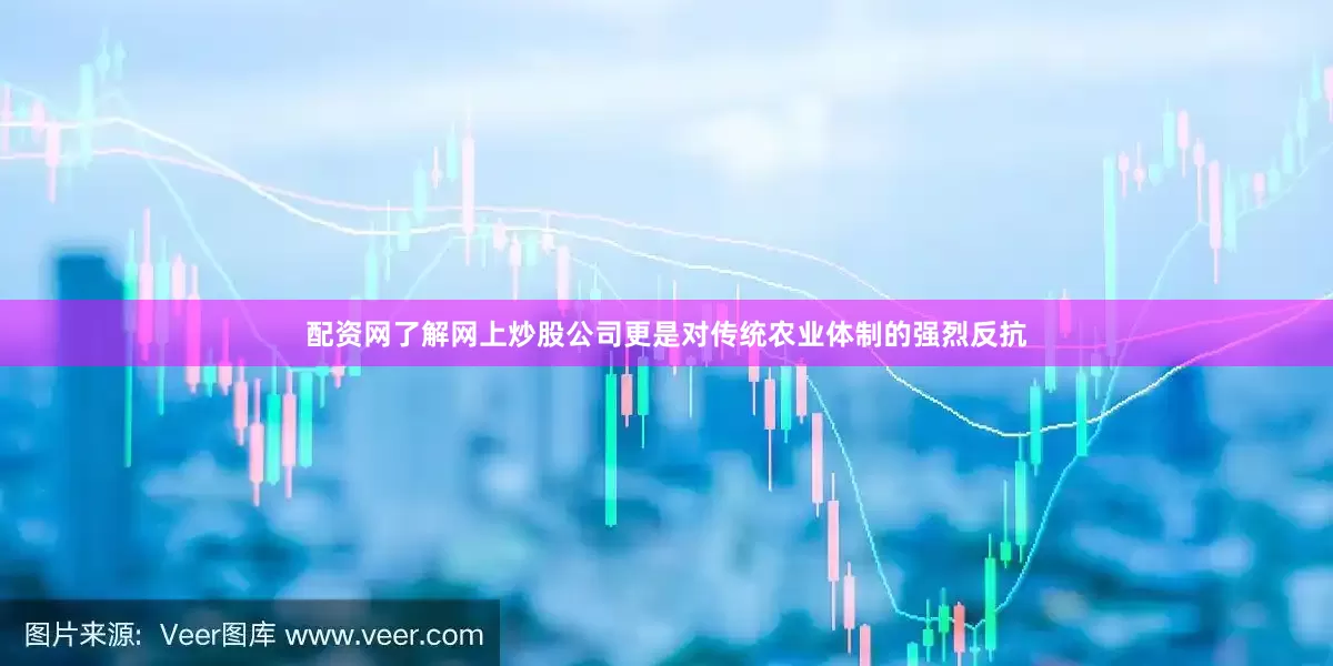 配资网了解网上炒股公司更是对传统农业体制的强烈反抗