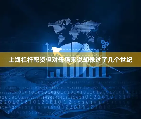 上海杠杆配资但对母猫来说却像过了几个世纪