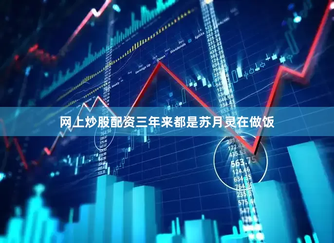 网上炒股配资三年来都是苏月灵在做饭