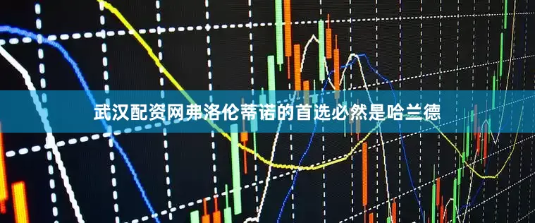 武汉配资网弗洛伦蒂诺的首选必然是哈兰德