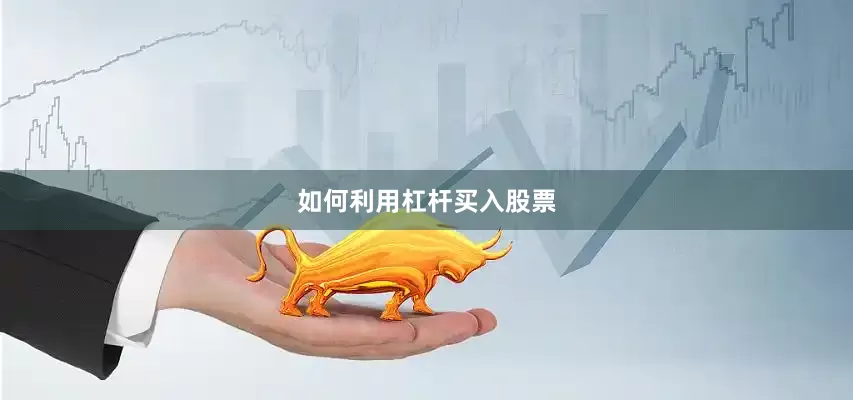 如何利用杠杆买入股票